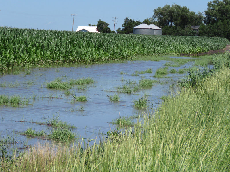 Corn field flooded near Gibbon